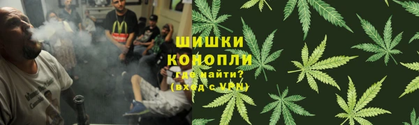 прущие крисы Арсеньев