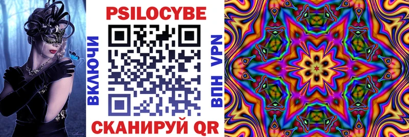дарнет шоп  Ковылкино  Псилоцибиновые грибы Psilocybine cubensis 